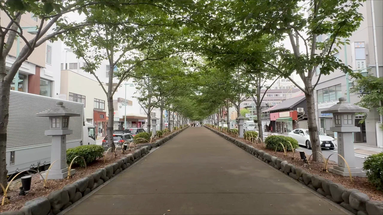 The straight Dankazura approach viewed from the Nino Torii side toward Tsurugaoka Hachimangu